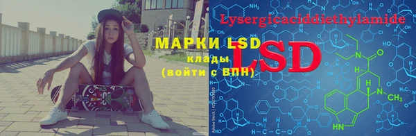 гашик Алзамай