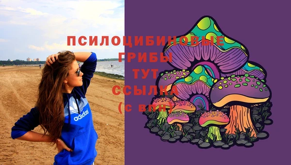 мет Алексин