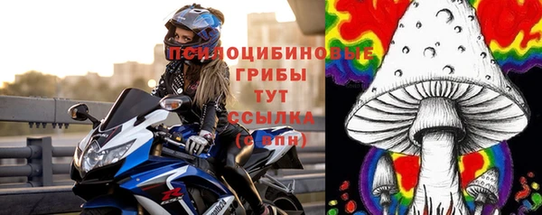 мет Алексин